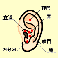 摜C[W